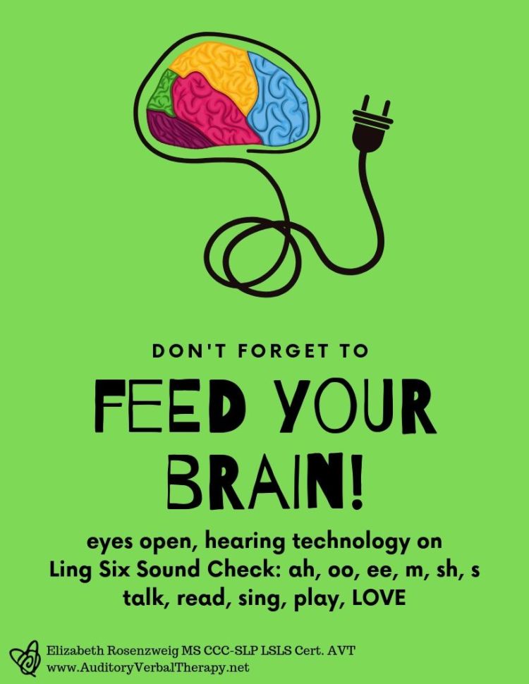 Feed Your Brain!